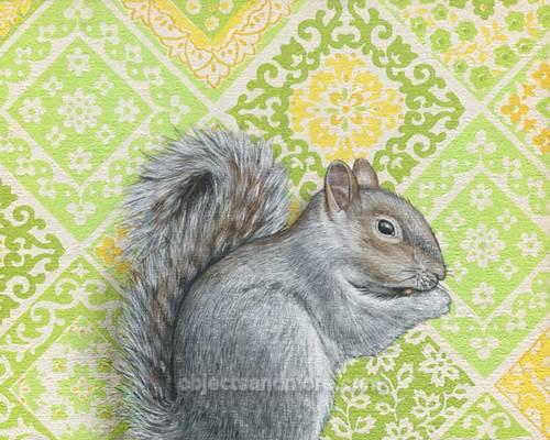 Squirrel by EMILY UCHYTIL